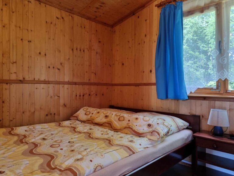 365829702_239935931783053_3373055843251077935_n